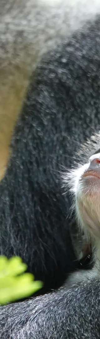 Begegnung im Hotelgarten